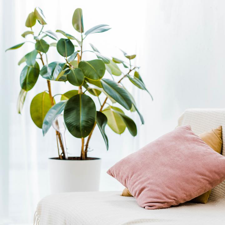 Produktbild Relaxdays 5x Bewässerungskugel (Bewässerungskugeln)
