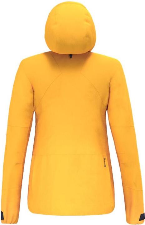 Actual product image Salewa Ortles Gtx Pro Jacket W (36, 42)