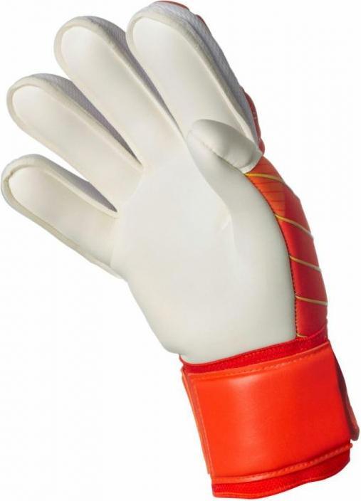 Actual product image Select Protection v24 Torwarthandschuhe (6)