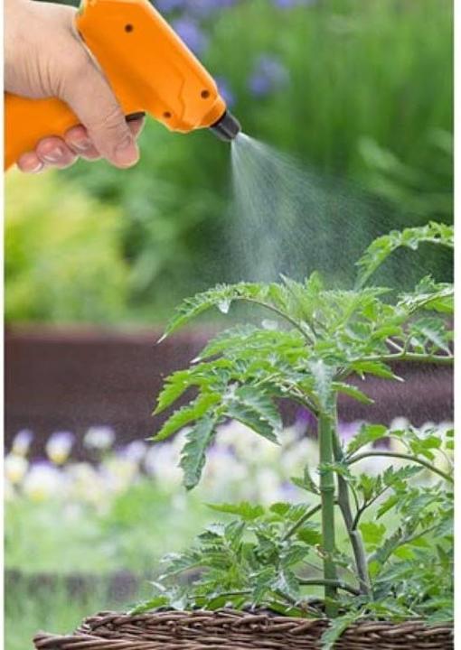Produktbild Garden Lights Drucksprüher - Akkubetrieben - 1 L (1 l)