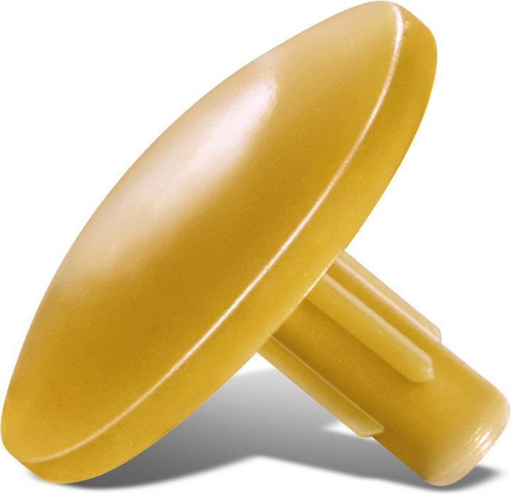 Actual product image Spax Cap R 89013 head bore ochre plastic