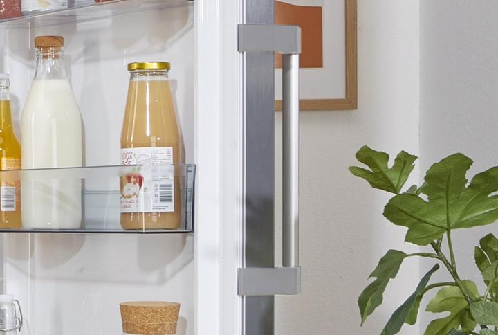 Actual product image Gorenje R619EES5 (398 l)