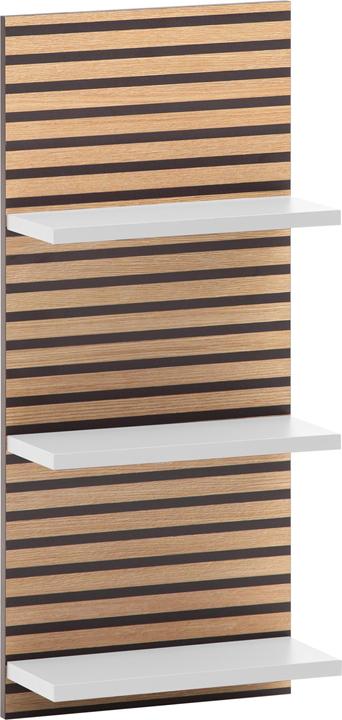 Schildmeyer Katta (30 x 17.5 x 70 cm)