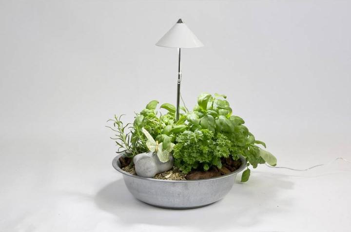 Image du produit Colibri SUNLiTE blanc (LED, 230 V)