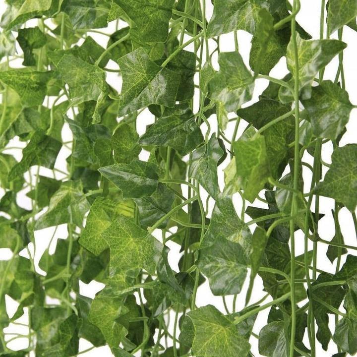 Actual product image Gardlov Ivy garland (6.30 cm)