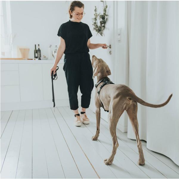 Actual product image Hunter Tableware Aalborg (M, L, Dog, General)