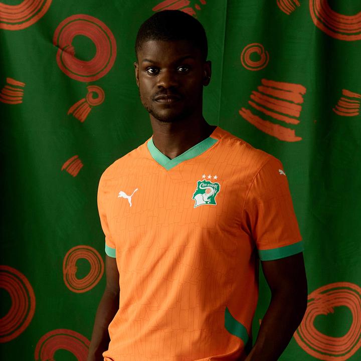 Actual product image Puma FIF Home Jersey Replica (S)
