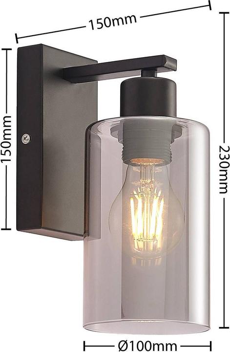 Image du produit Lindby Emavi Applique murale avec verre fumé (E27)