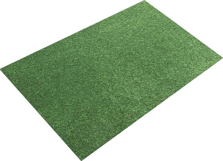 Image du produit International Tapis de gazon (200 x 100 cm)