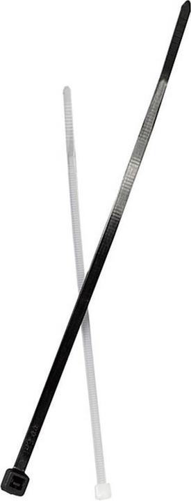 Produktbild Fischer Einschlaganker EA II M10 (Kunststoffkabelbinder, 760 mm, 100 Stk.)