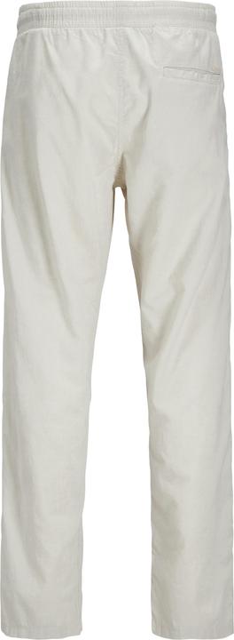 Actual product image Jack & Jones Jpstkane Jjsummer Jogger Sn (XS)