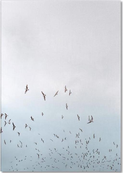 Produktbild Juniqe Birds in Porto - Möwen (A5, Liniert)
