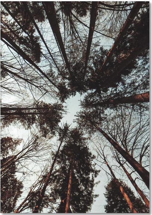 Actual product image Juniqe Look Up - Abstract Landscapes (A5, Lined)