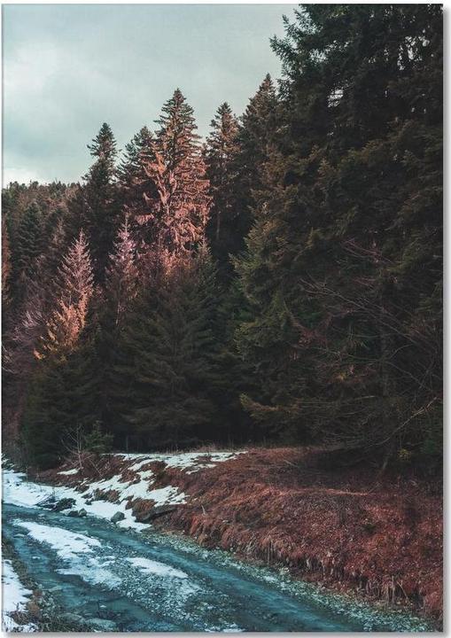 Immagine prodotto Juniqe River By The Forest - Paesaggi astratti (A5, Nessuna)