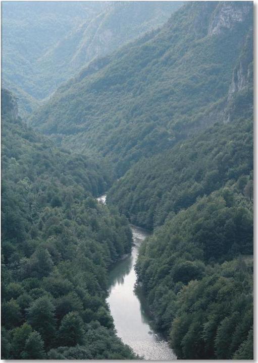 Produktbild Juniqe The River through the Forest - Abstrakte Landschaften (A5, Liniert)