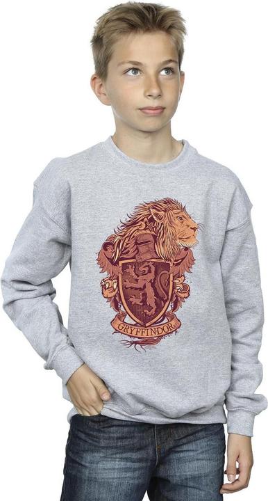 Produktbild Gryffindor Sketch Crest Sweatshirt Jungen (128)