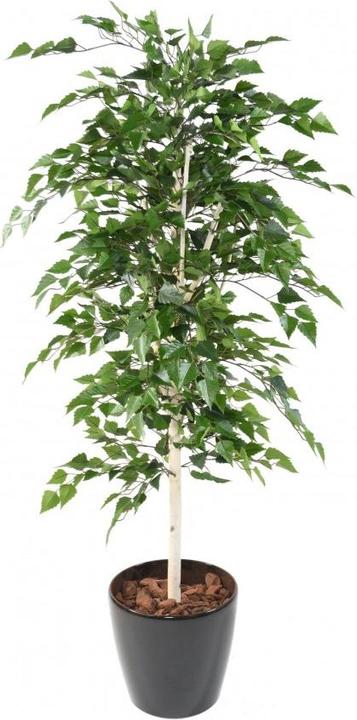 Produktbild Greendeco Künstlicher Birkenbaum, ca. 180cm (180 cm)