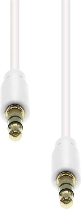 ProXtend Mini-Jack 3-Pin Slim Cable M-M White 0.5M (0.50 m)