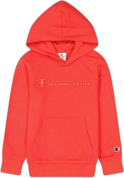 Champion hoodie cml logo (XL)