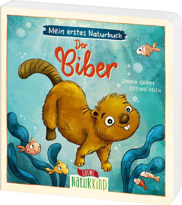 Produktbild Loewe Mein erstes Naturbuch - Der Biber (Deutsch)