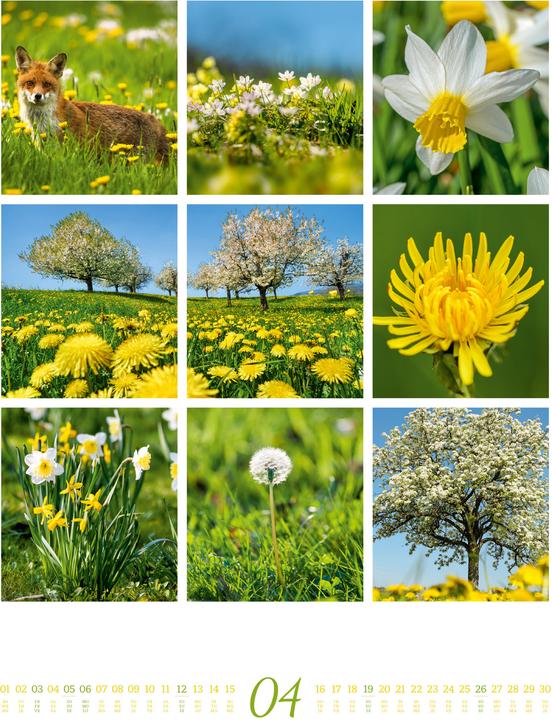 Immagine prodotto Inspiration Natur Kalender 2026 (Copertina rigida, Inglese, Francese, Tedesco)