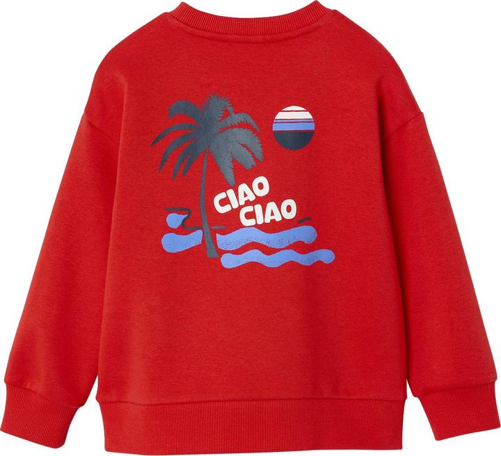 Vertbaudet Jungen Sweatshirt mit Urlaubsmotiv hinten, Recycling-Polyester