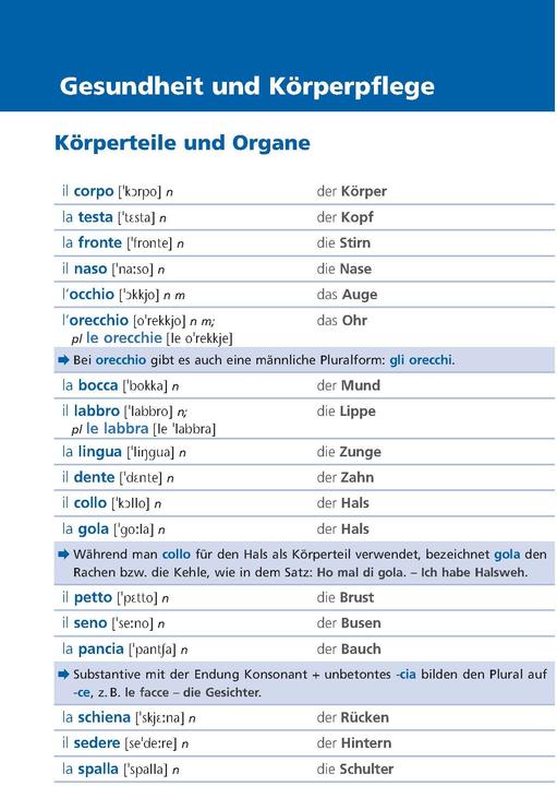 Produktbild Langenscheidt Grundwortschatz Italienisch (Deutsch, Italienisch, 2023)