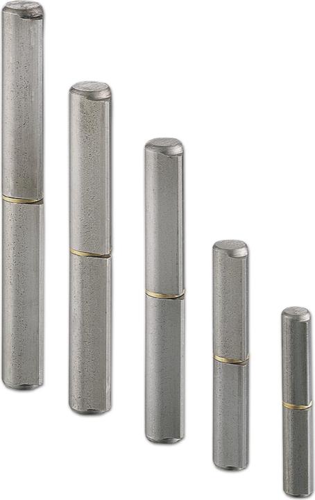 Actual product image Charmag Hinge roller (hinge) Door hinge ø 16x100 mm with spacer ring, plain steel