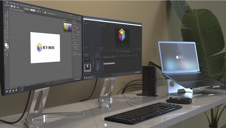 Actual product image Icy Box IB-DK2252AC (USB-C, 12 Ports)