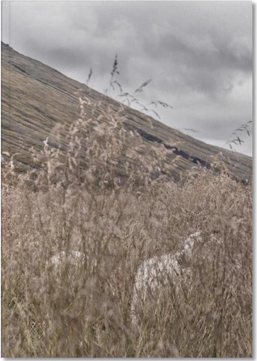 Actual product image Juniqe Hiding in plain sight - Abstract Landscapes (A5, Lined, Hardcover)