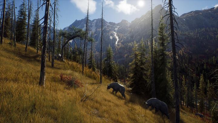 Immagine prodotto THQ Via del cacciatore (PS5, IT, FR, EN)