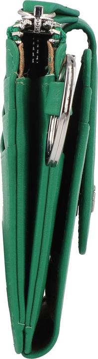 Immagine prodotto Braun Büffel JOY RFID fern green