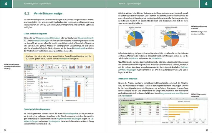 Energie-Label Diagramme mit Excel 2016 (Deutsch, Inge Baumeister, 2018)