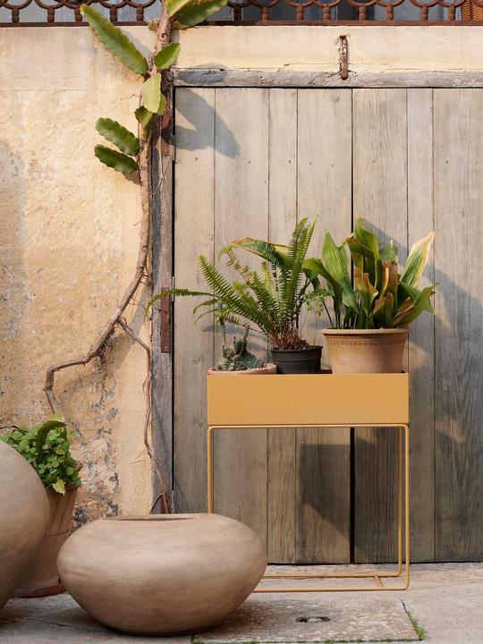 Immagine prodotto Ferm Living Scatola per piante (25 cm)