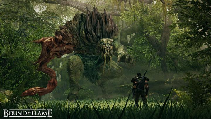 Actual product image Focus Home Interactive Bound by Flame (Xbox 360)