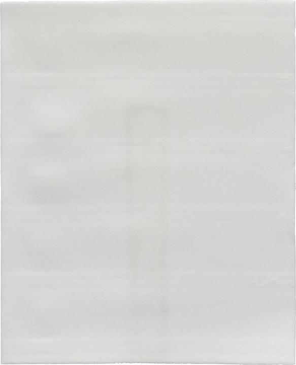 Actual product image bluu Universal washing strips (60 Washing cycles, Washcloths)