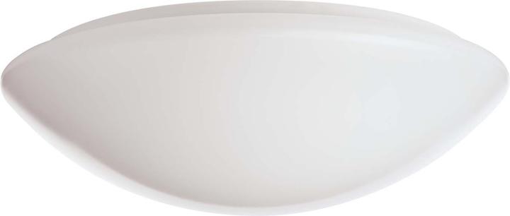 Image du produit Ridi 0420781 (1650 lm)