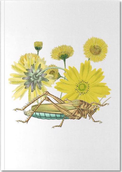 Actual product image Juniqe Yellow Flowers and Grasshopper - Grasshoppers (A5, Plain)