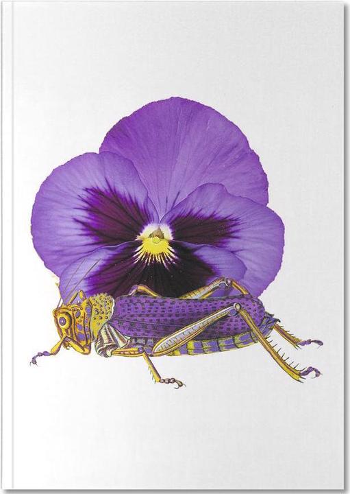 Produktbild Juniqe Purple Grasshopper and Viola - Grashüpfer (A5, Liniert)