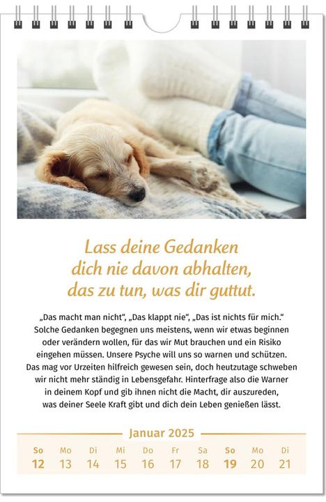 Image du produit Le calendrier de la joie de vivre (Non contraignant, Allemand)