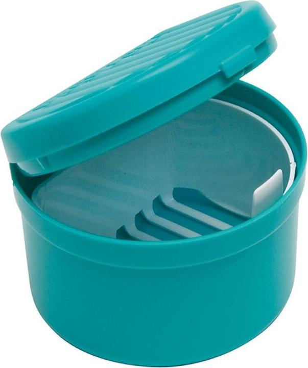 Hausella Dental-Box mit Einsatz (Zahnprothesen Zubehör)