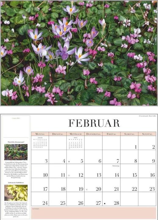 Actual product image Garten-Kalender 2026 - Broschürenkalender - mit informativen Texten - mit Jahresplaner - Format 42 (42 x 29 cm, Hardcover, German)