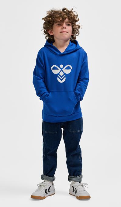 Actual product image hummel hmlCUATRO HOODIE (122)