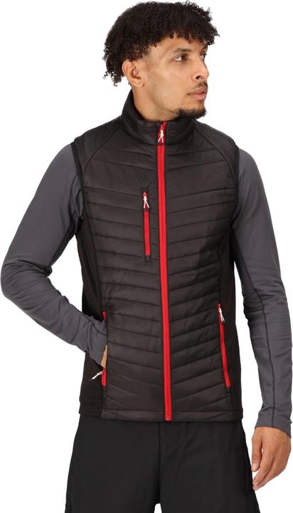Produktbild Regatta Navigate Weste Hybrid (L)