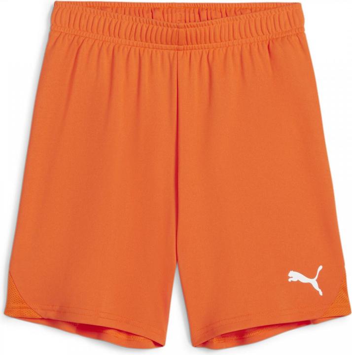 Actual product image Puma teamGOAL Shorts Jr (164)