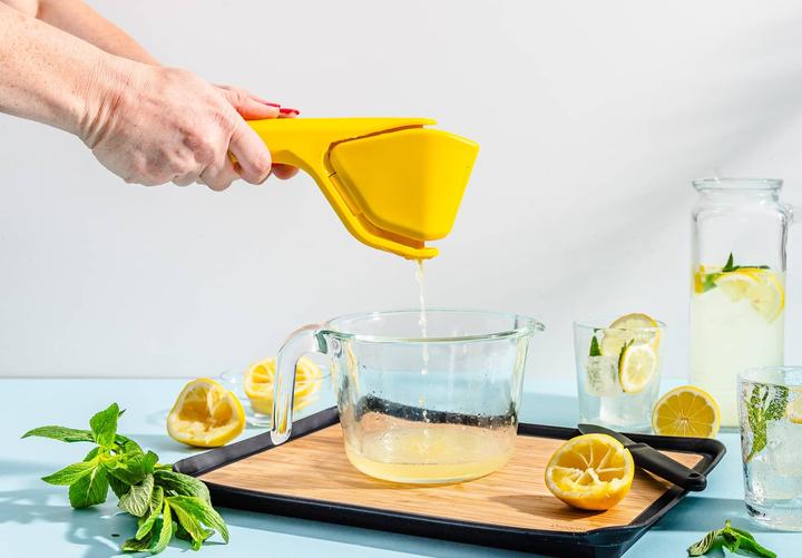 Produktbild DreamFarm Fluicer Saftpresse Lemon