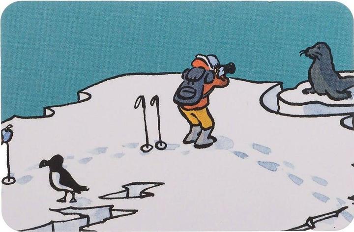 Produktbild Cartzzle Extreme Expedition (Deutsch)