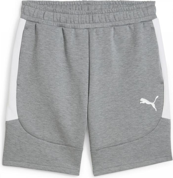 Actual product image Puma teamEVOSTRIPE Shorts (L)