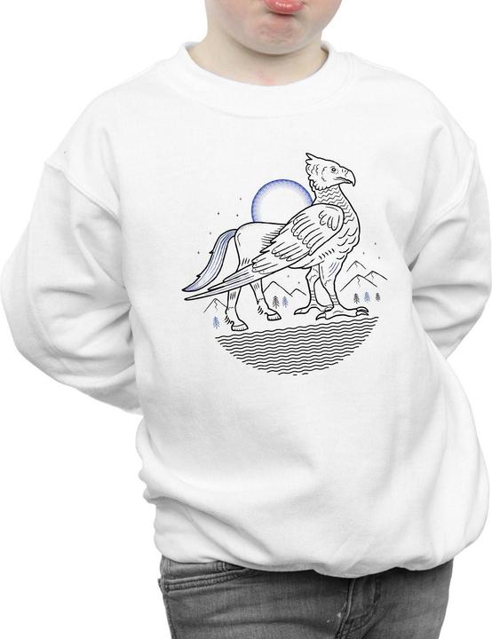 Produktbild Buckbeak Line Art Sweatshirt Jungen (128)