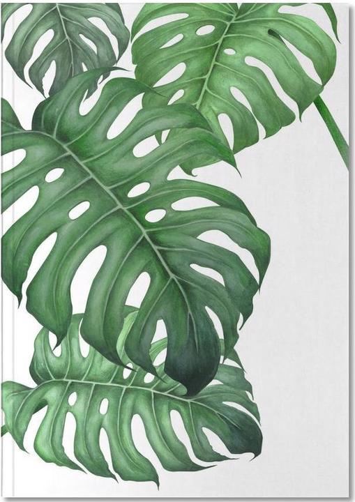 Image du produit Juniqe Tropical No.2 - Feuilles & Plantes (A5, Blanc)